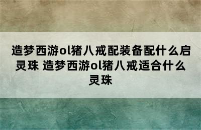 造梦西游ol猪八戒配装备配什么启灵珠 造梦西游ol猪八戒适合什么灵珠